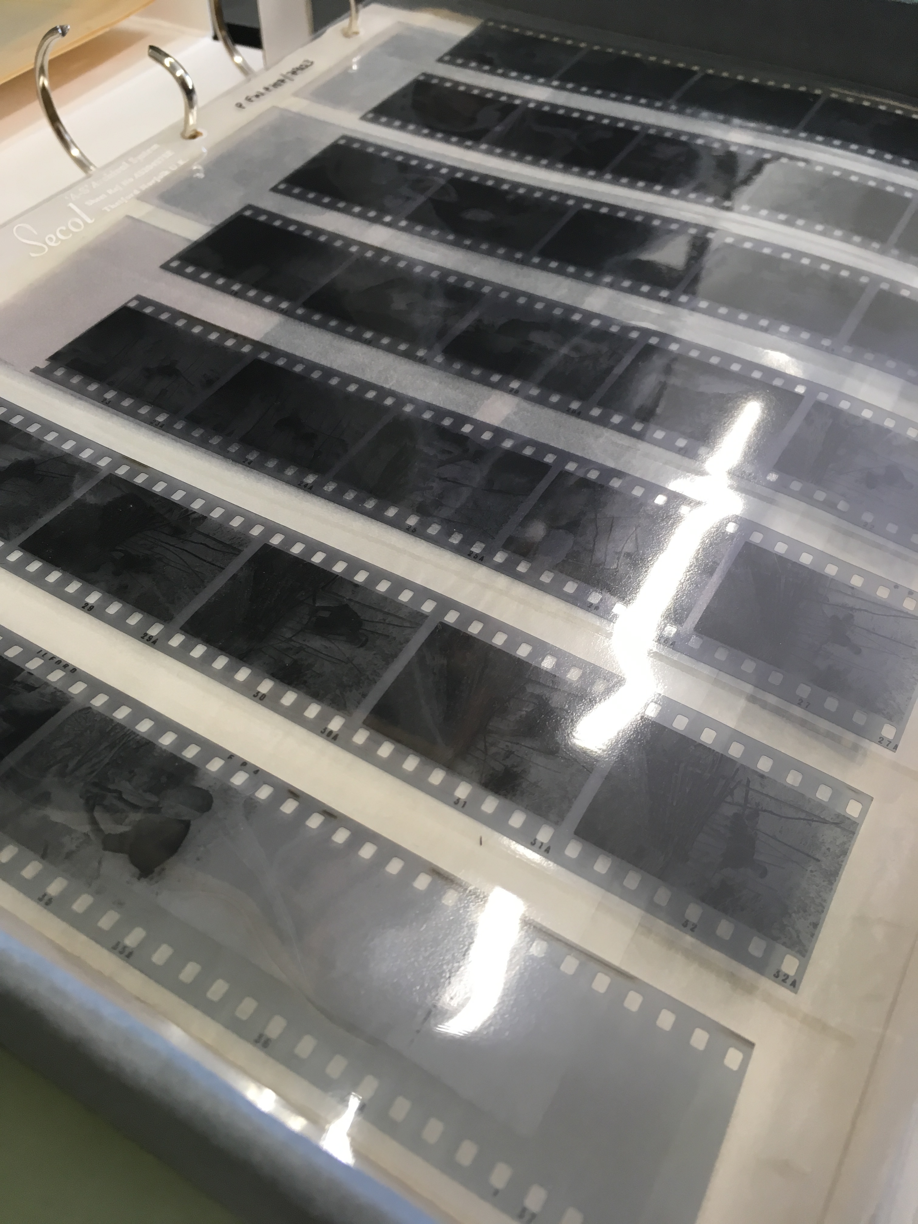 Image of 35mm photographic negatives in a plastic sleeve