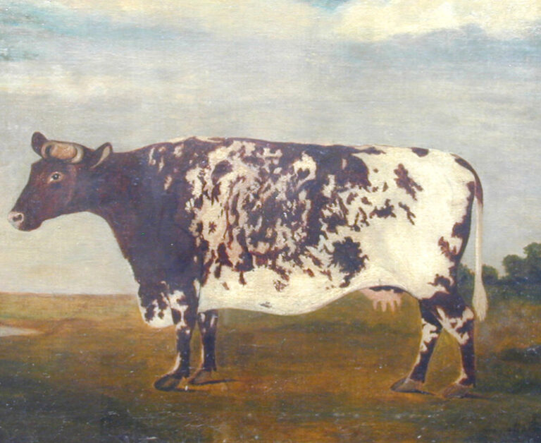 An artwork of a very rectangular cow from The MERL collection.