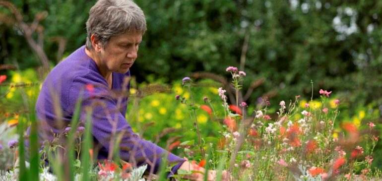Working in the MERL garden