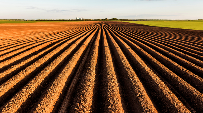 Furrows on a neatly ploughed field disappear into the distance
