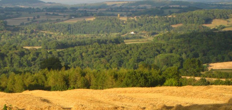 British agricultural landscape