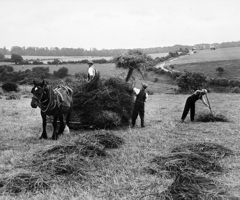 Three farmers haymaking in a Berkshire field. Black and white photo taken in the 1940s.