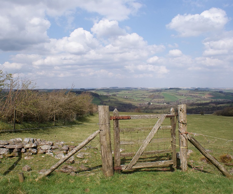 An English landscape with fields in the background, fence and gate in the foreground.
