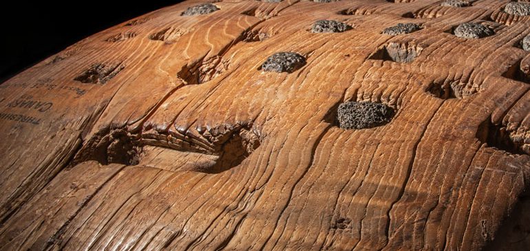 Detail of wooden threshing sled with lava teeth inserted in surface