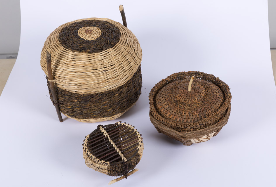 ‘Willow 1’ by Maggie Smith
