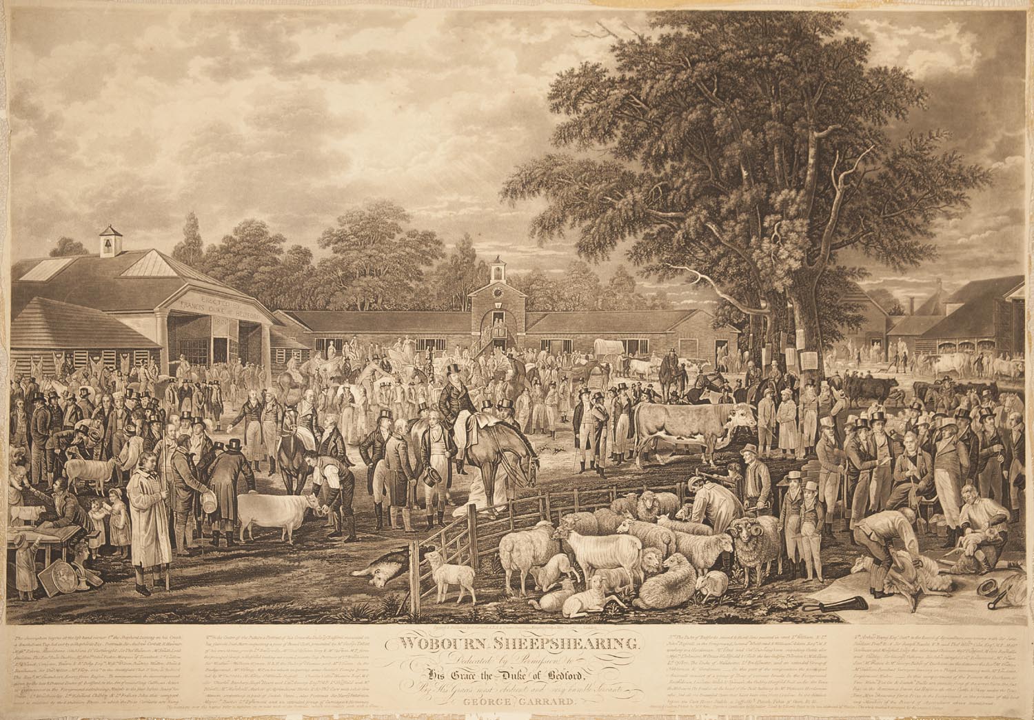A black on cream print fromm an engraving, showing a busy scene of farming figures and animals in an early-19th-century agricultural context.
