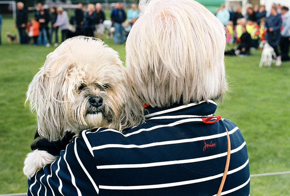 Looking for the top dog