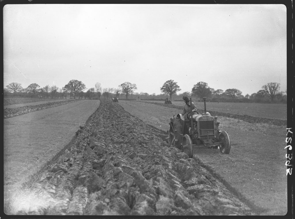 Women's Land Army member ploughing out heavy grass land, Buckinghamshire War Agricultural Executive Committee, Oakley
