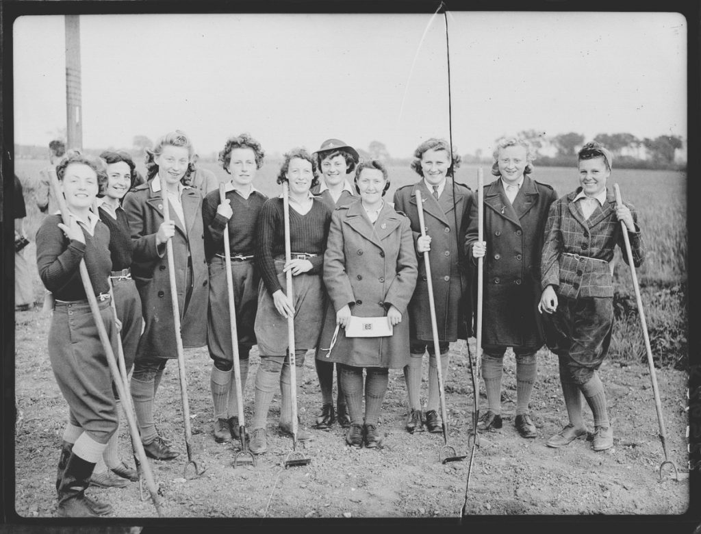 Women's Land Army Beet Singling Competition, Braintree, Essex, War Agricultural Executive Committee and Felsted Factory