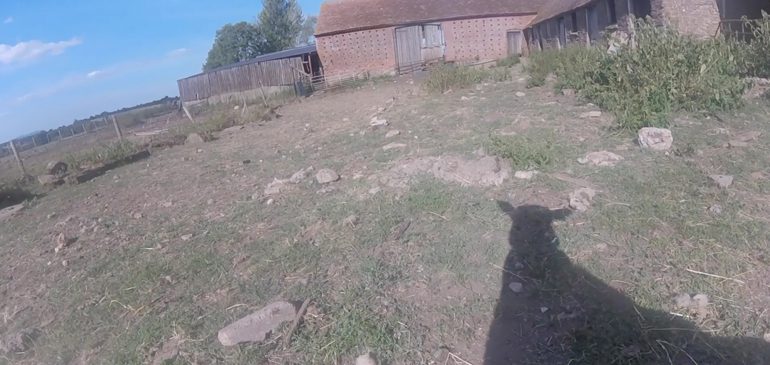 A screenshot of a shadow of a sheep on a farm featured on the new film poem I, Sheep