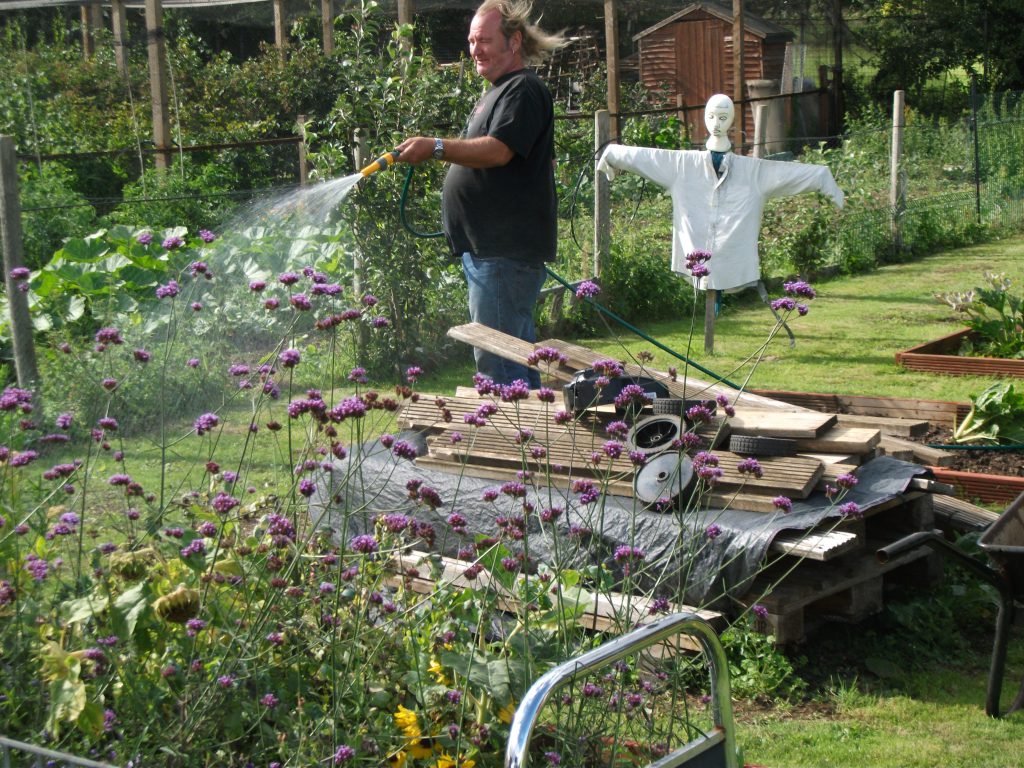 Returning to the allotment.