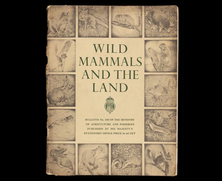 Cover of booklet entitled Wild Mammals and the Land, featuring small images of different animals around the edges