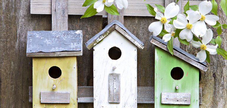 Three painted bird boxes hanging on a trellis with flowers for the Fledglings at home event