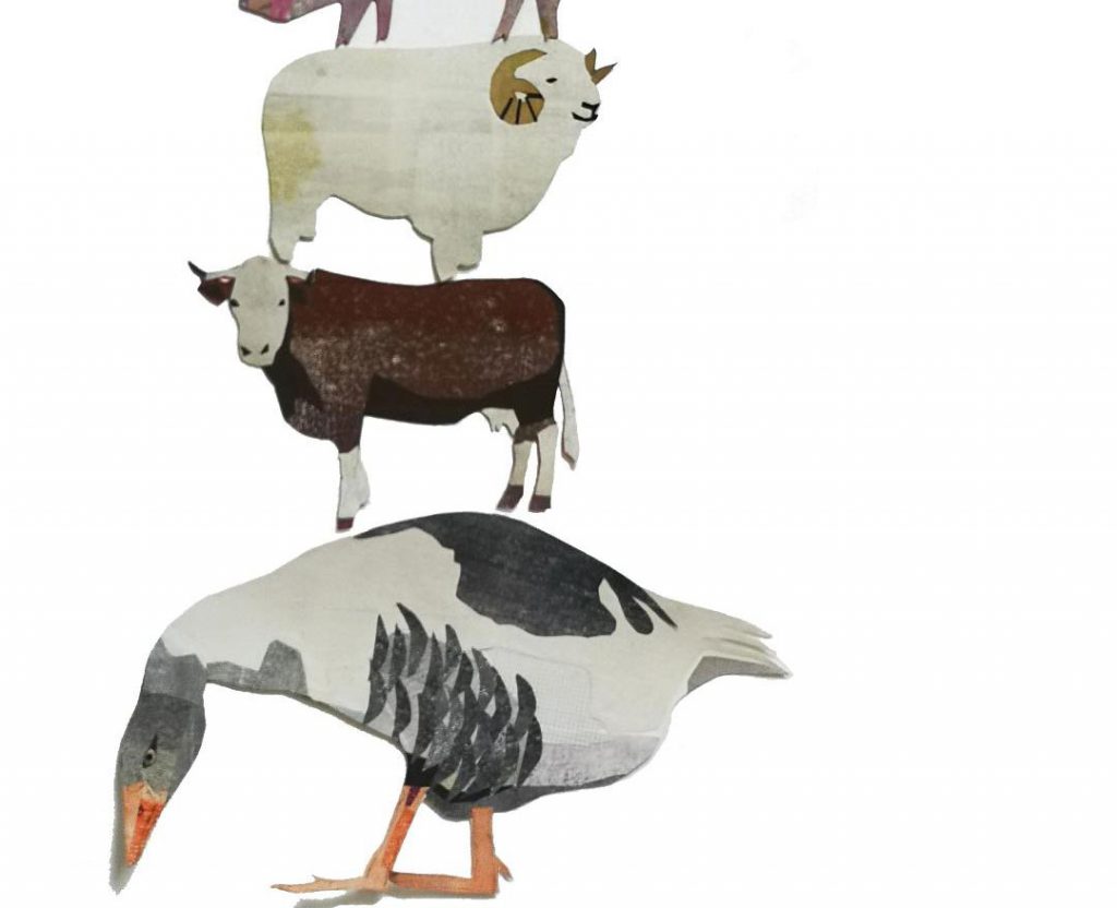 An Absolute Unit and other characters