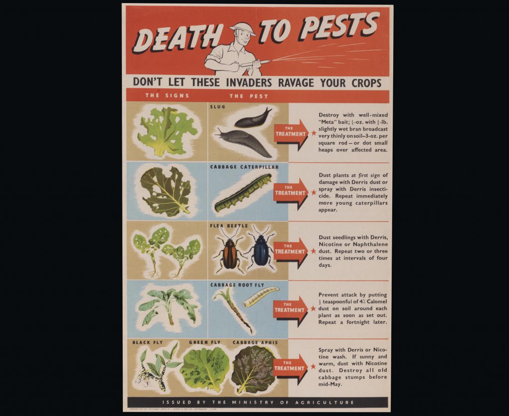 Death to pests poster showing crop pest advice (MERL 2010/149)