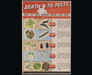 Death to pests poster showing crop pest advice (MERL 2010/149)