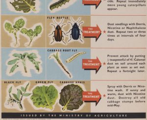 Detail from Death to pests poster showing lower half (MERL 2010/149)