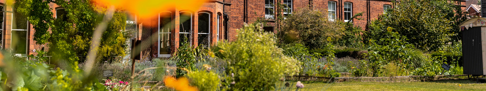 A view of the back of the MERL building from the garden