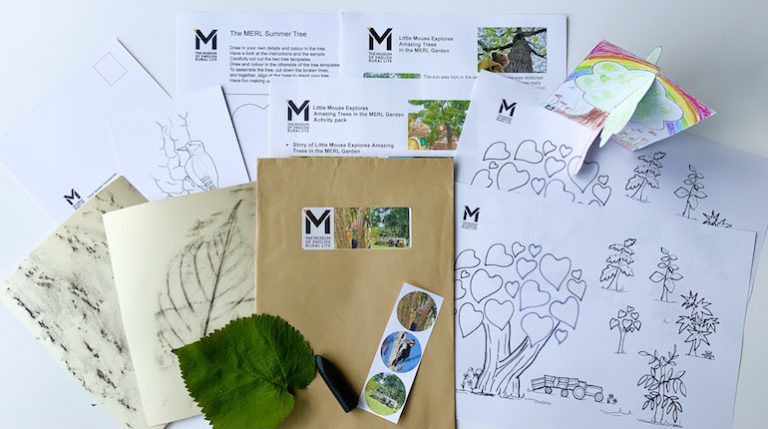 Tree activity pack