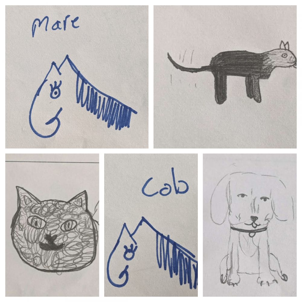 Pets