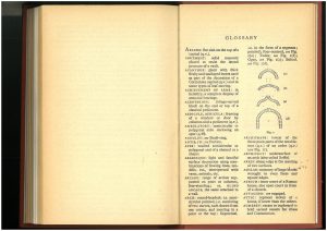 A page of the glossary from Nikolaus Pevsner, Cornwall (Harmondsworth: Penguin Books, 1951)