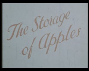 Still showing title, as taken from colour film, The Storage of Apples, 1951 (MERL TR MAFF PH6/73)