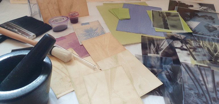 Set up for the Anthotype workshop