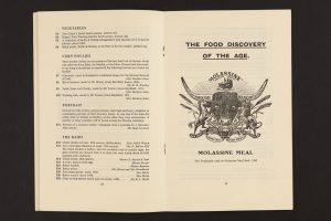 Page from inside exhibition catalogue for Black Eyes and Lemonade (GREAT EXHIBITION--12/06)