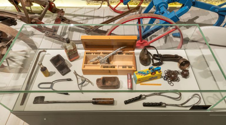 Year on the Farm Spring Case 1