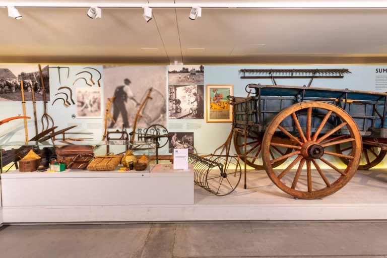 Summer display - for virtual tour