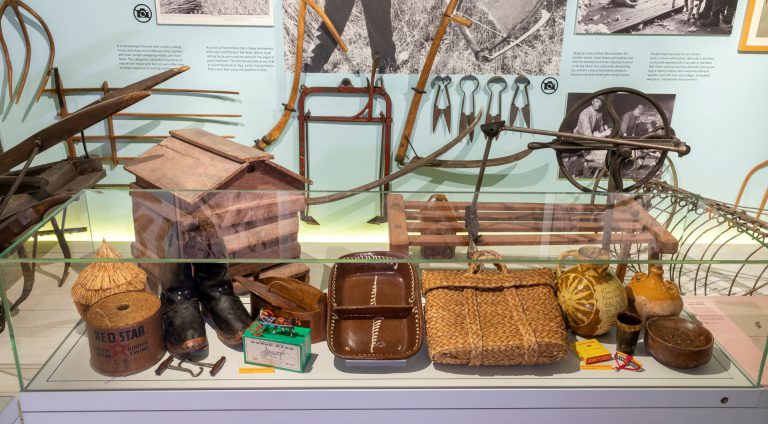 Summer case - for virtual tour