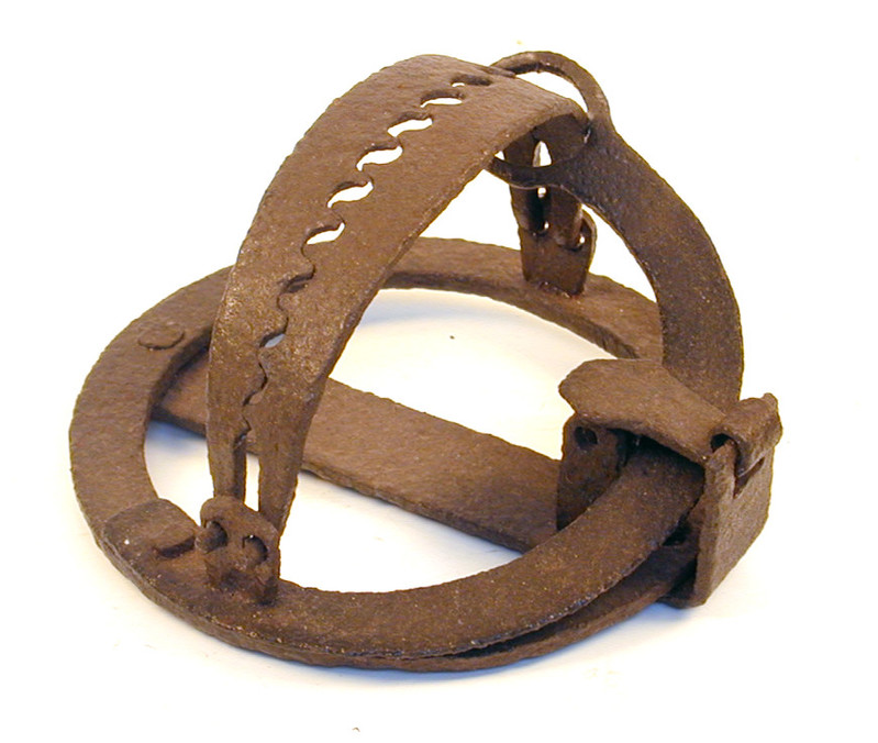Hawk Trap