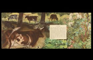 Eileen Mayo, Animals on the Farm (Harmondsworth: Penguin, 1951) (Children's Collection 630-May).