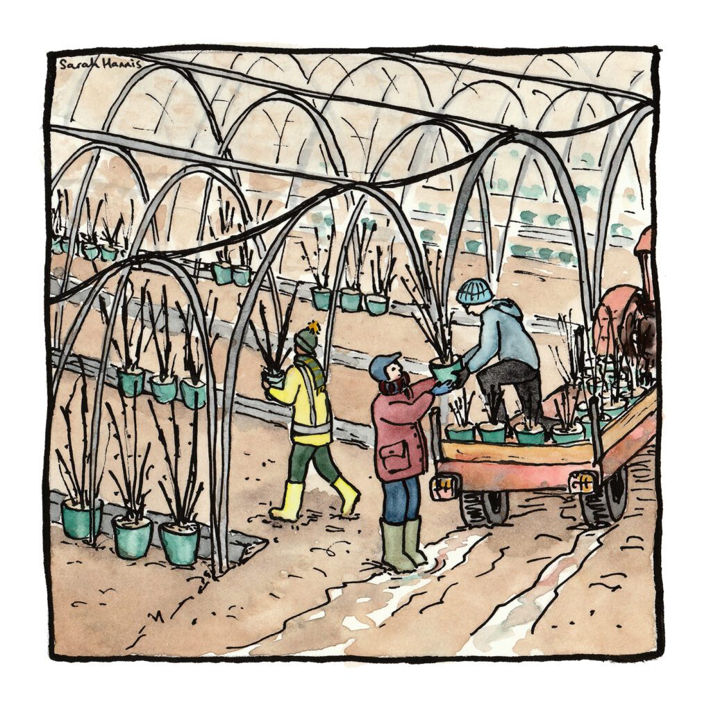 One of 30 ink and watercolour sketches by Sarah Hannis, provide an insight into the daily lives of migrant agricultural workers