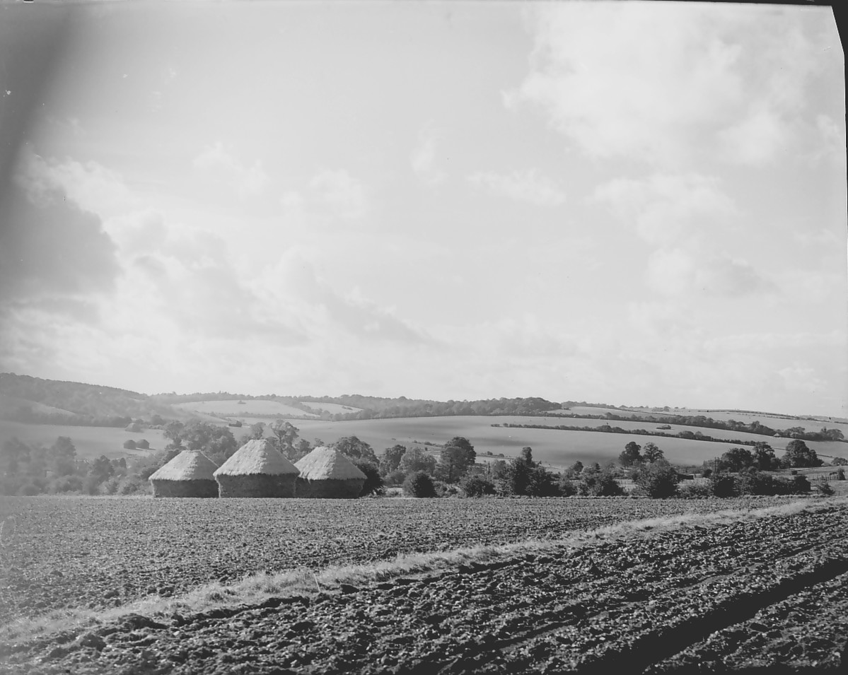 The rolling fields and hills of the Chilterns.