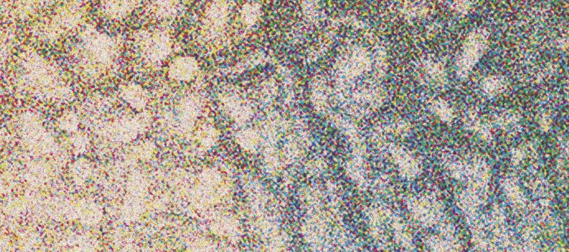 Close up of snail on a leaf from JC Niala, 'Portal: 1918 Allotment' (Fig: Oxford, 2022), p.2