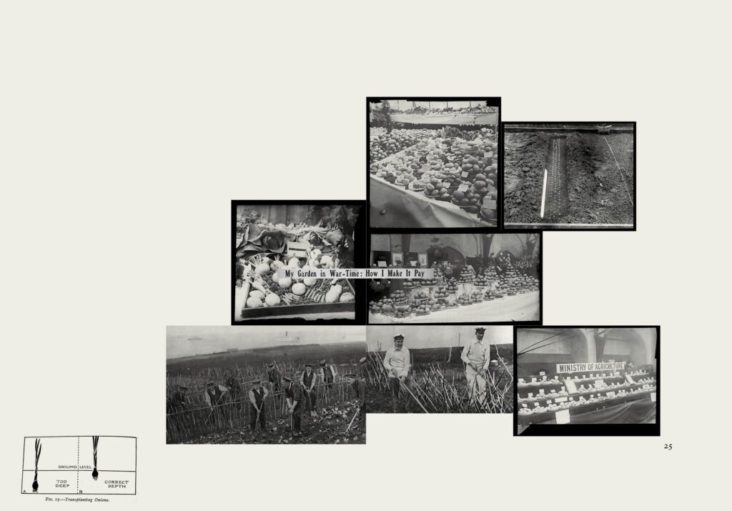 Images of produce, planting, and cultivation from JC Niala, 'Portal: 1918 Allotment' (Fig: Oxford, 2022), pp.24-25
