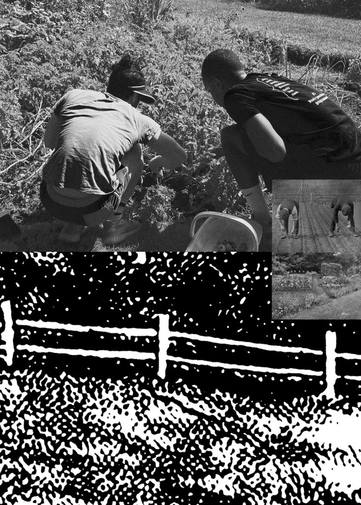 Composite of pages showing boundaries and gardening from JC Niala, 'Portal: 1918 Allotment' (Fig: Oxford, 2022), pp.28-29