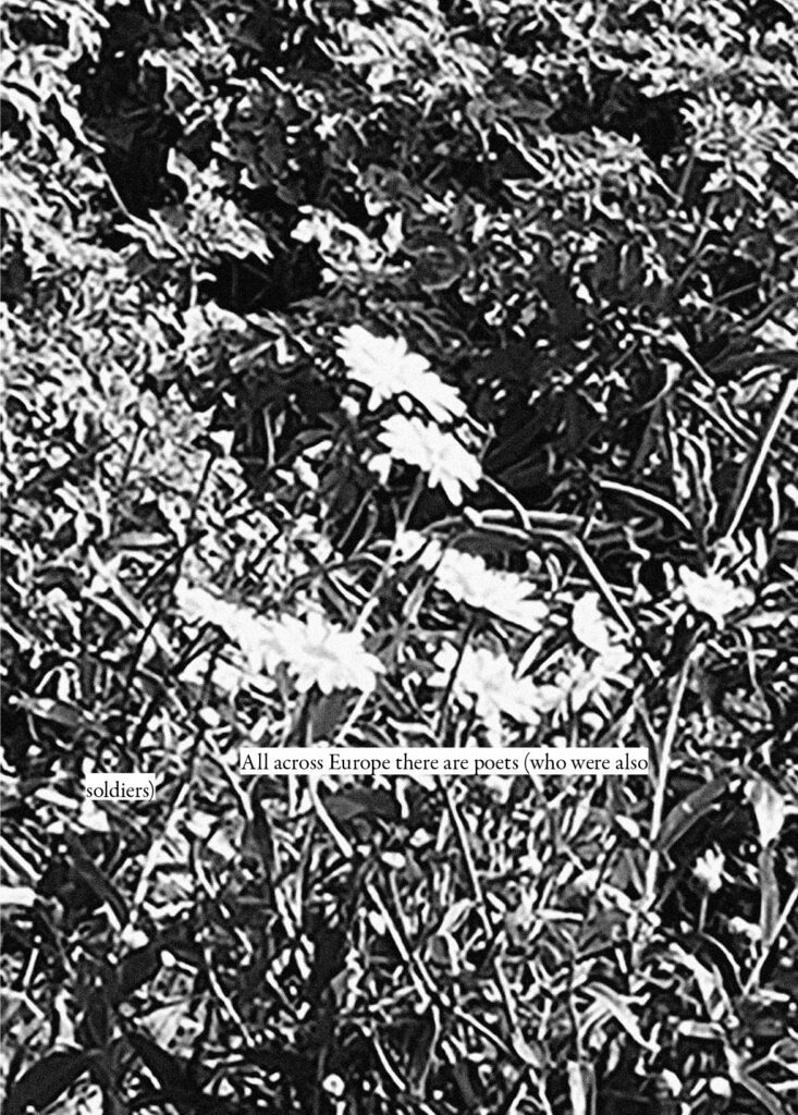 Text over image of flowers from JC Niala, 'Portal: 1918 Allotment' (Fig: Oxford, 2022), p.43