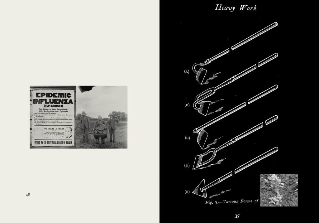 Pandemic notice, hoe diagram, and insert from JC Niala, 'Portal: 1918 Allotment' (Fig: Oxford, 2022), pp.48-49
