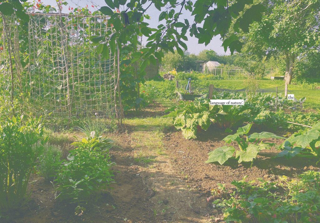 Double-page photograph of allotment overwritten with text from JC Niala, 'Portal: 1918 Allotment' (Fig: Oxford, 2022), pp.61-62