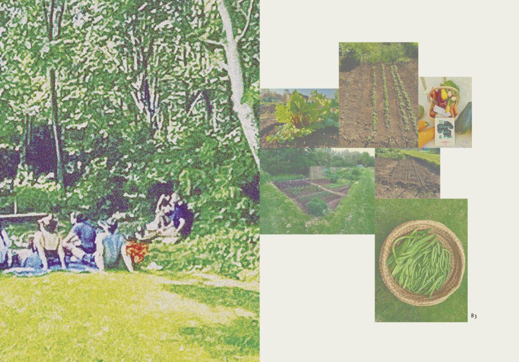 Assemblage of photographs of a reading, produce, and plants from JC Niala, 'Portal: 1918 Allotment' (Fig: Oxford, 2022), pp.82-83