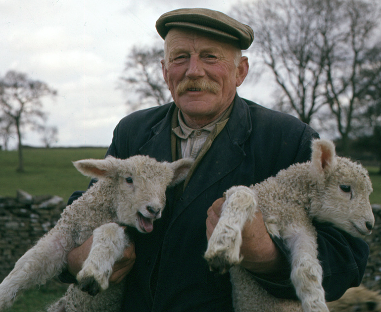 A shepherd holds two lambs.