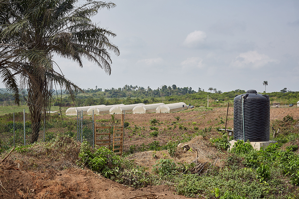 Ecology Green Farm