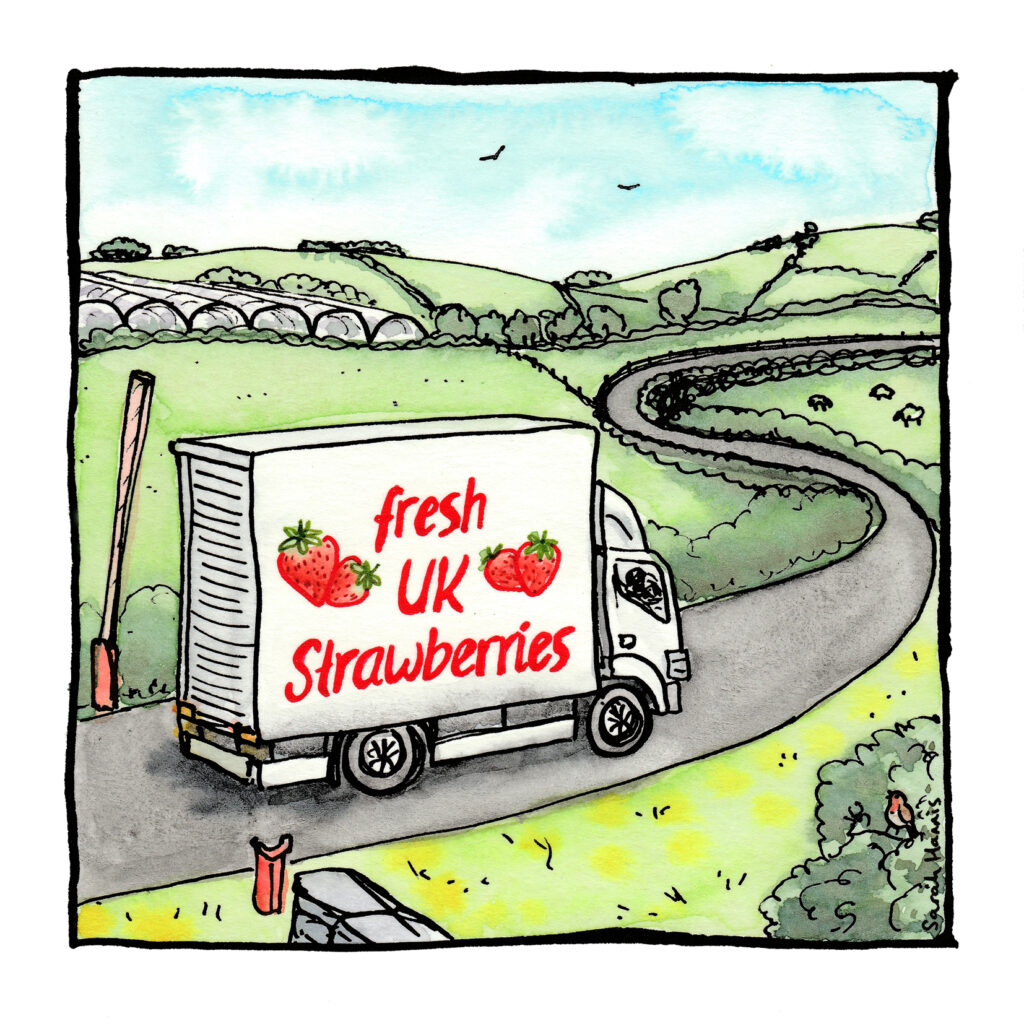 One of 30 ink and watercolour sketches by Sarah Hannis providing insight into the daily lives of migrant agricultural workers who came to the UK in 2021. This image shows a lorry transporting strawberries.