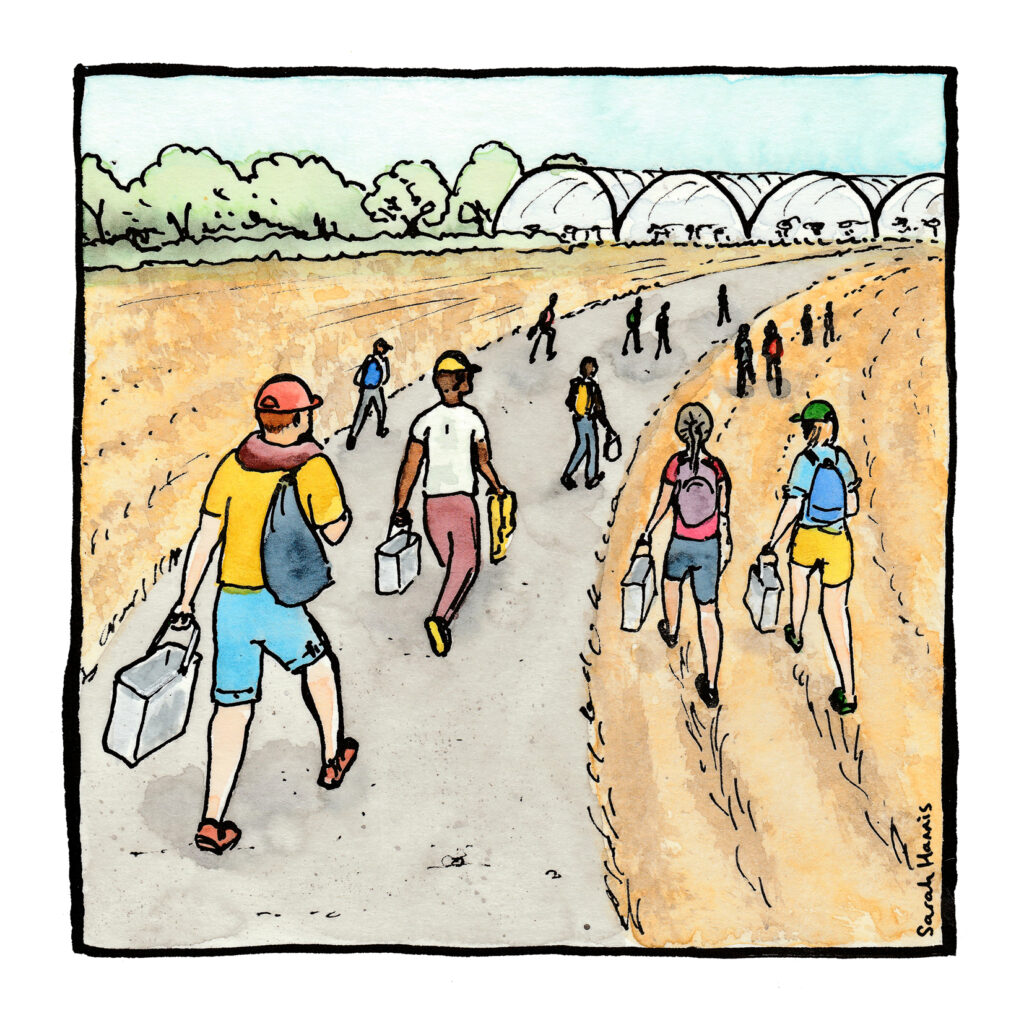 One of 30 ink and watercolour sketches by Sarah Hannis providing insight into the daily lives of migrant agricultural workers who came to the UK in 2021. This image shows workers walking to work.
