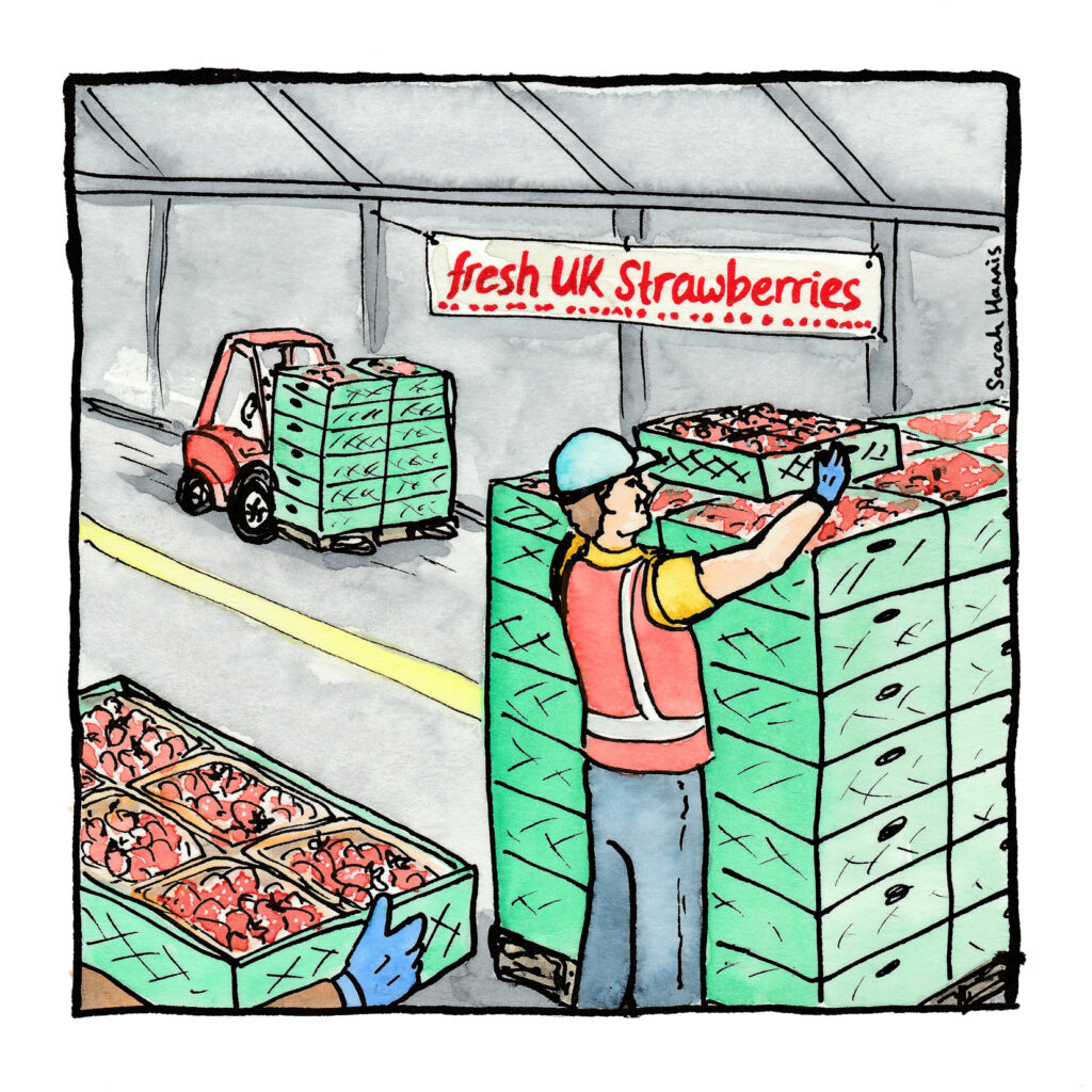 One of 30 ink and watercolour sketches by Sarah Hannis providing insight into the daily lives of migrant agricultural workers who came to the UK in 2021. This image shows unloading at the packhouse.