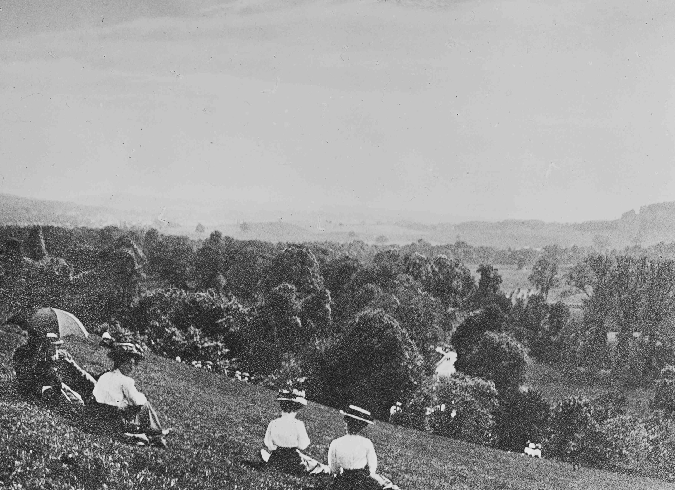 View from Box Hill