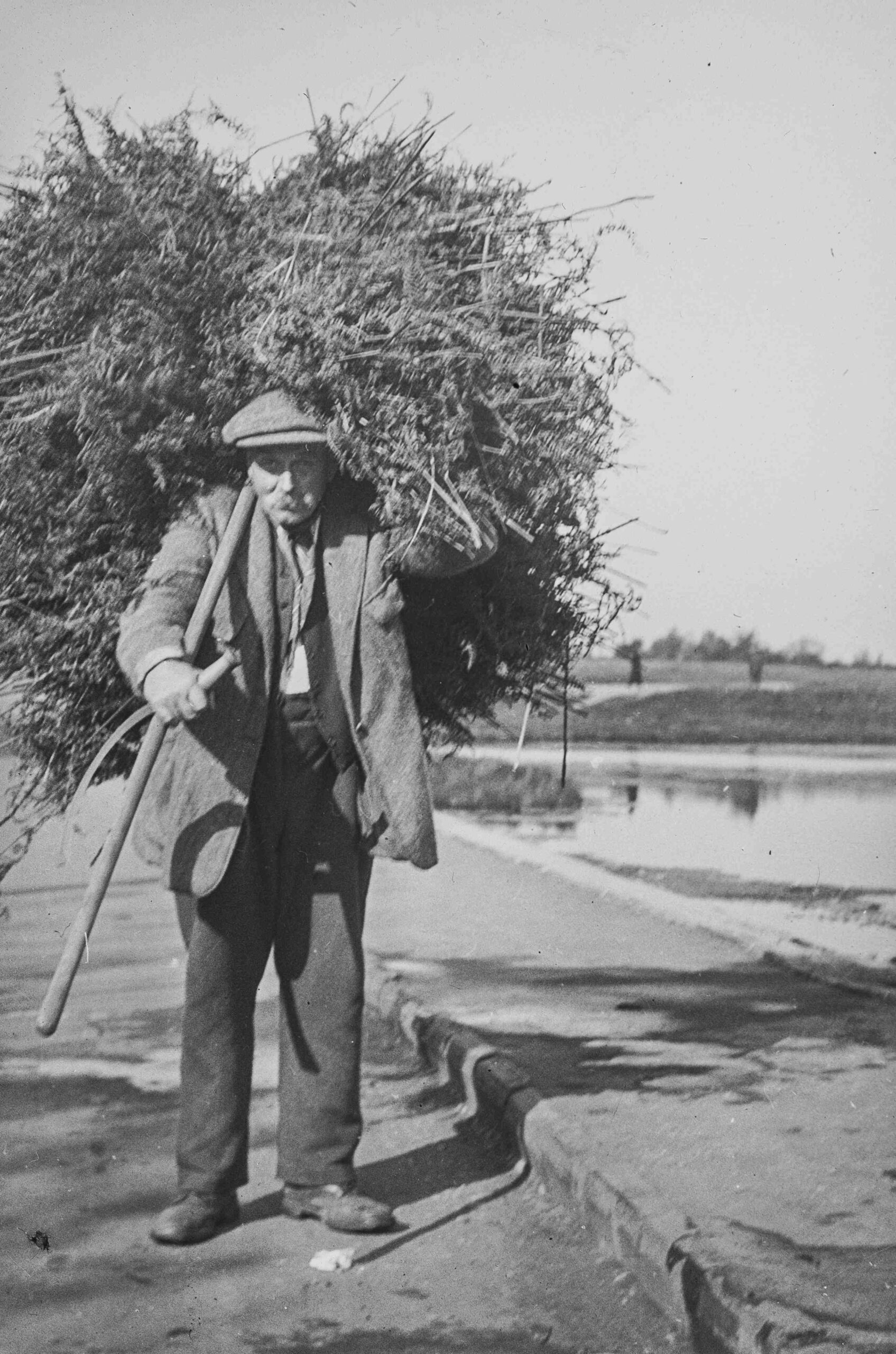 Bracken carrying at Walton Heath