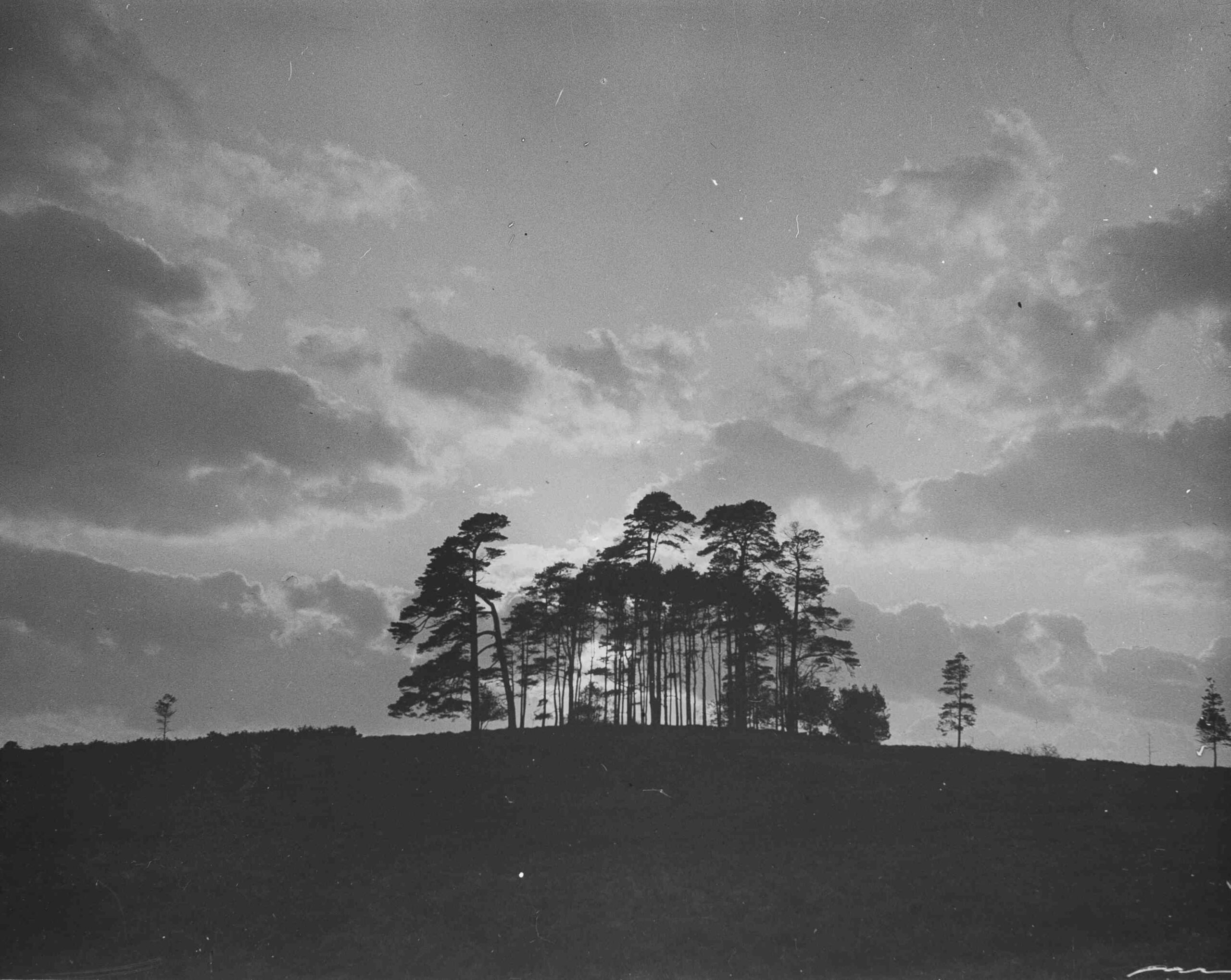 Ashdown Forest